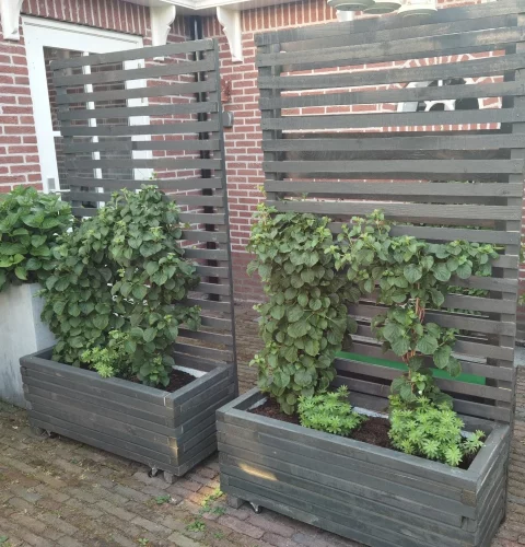 Anthracite plantboxes from square timber with climbing frame
