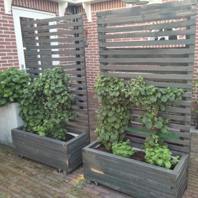 6x plantenbak met klimrek 100x40x40 (180) cm - antraciet