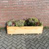 Plantenbak van hout - 140x40x36 cm - naturel