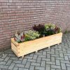 Plantenbak van hout 150x40x36 cm - naturel