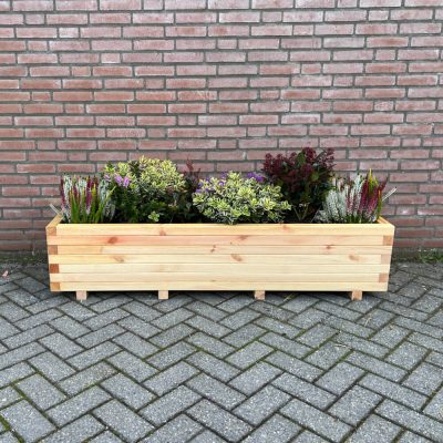 Plantenbak van hout 160x40x36 cm - naturel